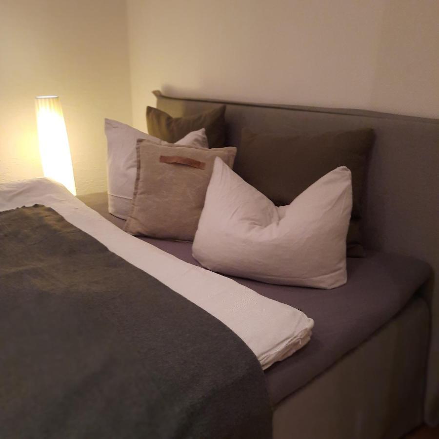 Business-Lodging Apartmenthaus Höhr-Grenzhausen Eksteriør billede